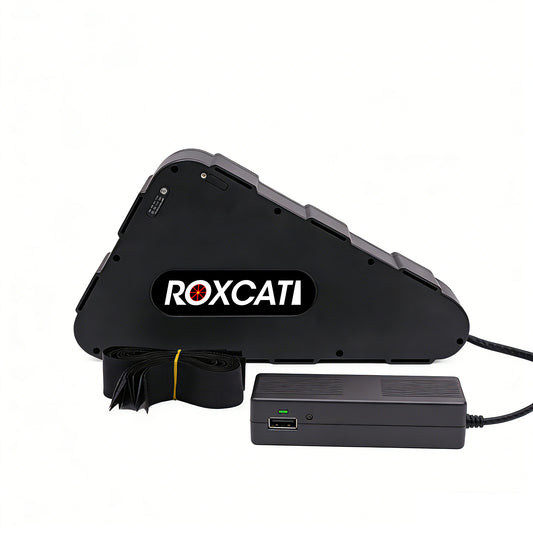 72V 20Ah Li-NMC Lithium Battery with Battery Case