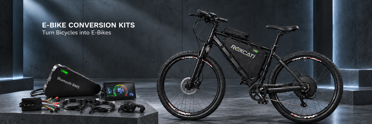 rusted E-Bike Systems Supplier in US & EU | OEM/ODM & Wholesale Available